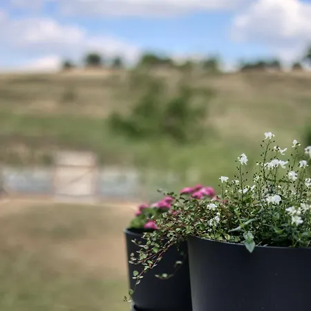 La Reserve By Madeleine Feriehus *