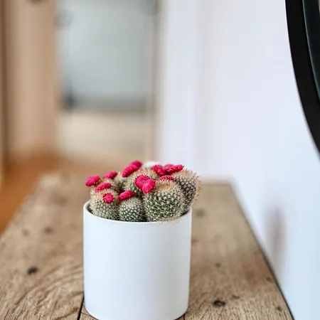 La Reserve By Madeleine