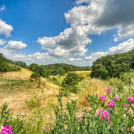 La Reserve By Madeleine Hotton