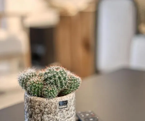 La Reserve By Madeleine Holiday home Hotton