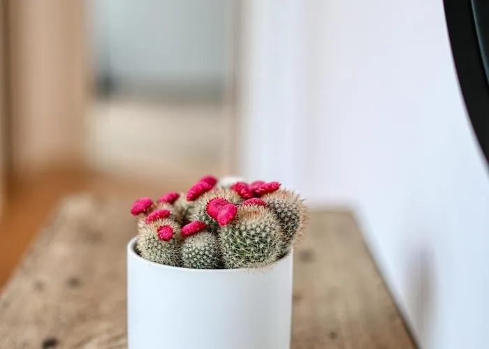 La Reserve By Madeleine